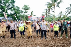 Dukung Program Nasional Penanaman 1 Juta Hektare Jagung, Banyuwangi Siapkan 650 Hektar Lahan