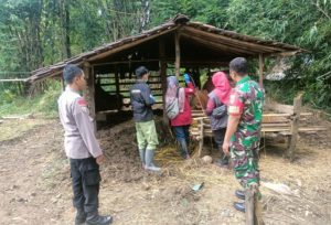 Babinsa Karanggede Kawal Vaksinasi PMK di Desa Bangkok