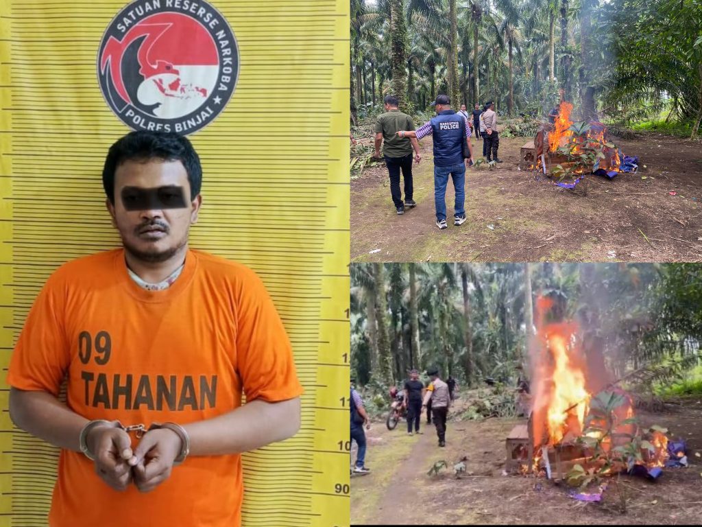 Polres Binjai Kembali Ratakan Barak Narkoba Di Dusun BanRejo Kec. Sei Bingai