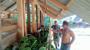 Babinsa Kemusu Berbagi Ilmu Dengan Peternak Desa Ketoyan