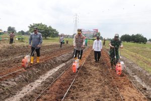 Asta Cita Presiden Prabowo, Kapolres Metro Tangerang Pimpin Penanaman Jagung Satu di Sepatan Tangerang