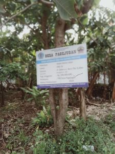 Proyek Jalan Senilai Rp.200 Juta di Desa Pagejugan Retak-retak, Diduga Digarap Pihak Ketiga