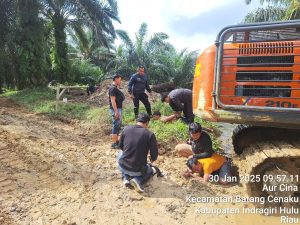Kades dan Sekdes Ditangkap, Hutan Lindung 150 Hektare di Inhu Dijual
