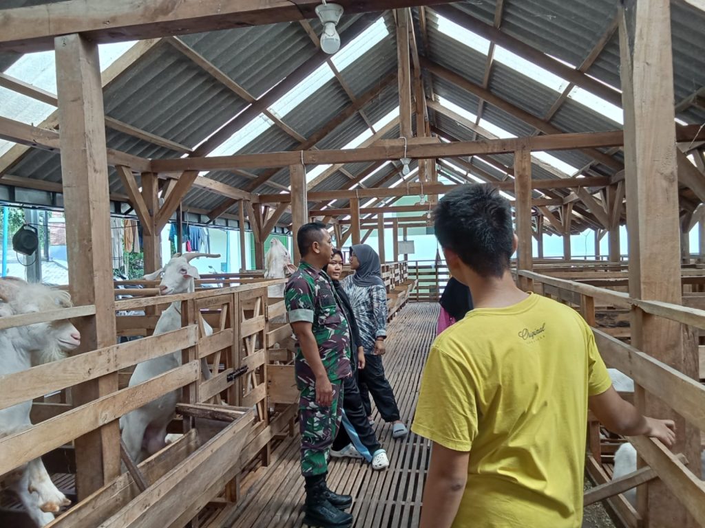 Babinsa Simo Motivasi Peternak Kambing Desa Kedunglengkong