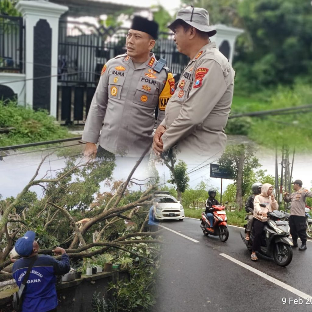 Kapolresta Banyuwangi Kombes Pol Rama Samtama Putra Tinjau Langsung Lokasi Pohon Tumbang Akibat Angin Kencang