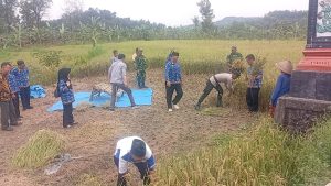 Anggota Koramil Wonosegoro Tunjukkan Dedikasinya Dukung Ketahanan Pangan