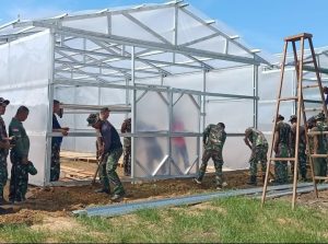 Perkuat Ketahanan Pangan, Kodim 0102/Pidie Bangun 16 Unit Solar Dryer Dome di Pidie dan Pidie Jaya