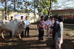 Wujudkan Ketakwaan Dan Kepedulian Sosial, Polresta Magelang Sholat Ied Bersama Dan Sembelih Hewan Qurban