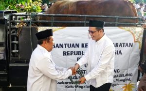 Presiden Prabowo Berikan Sapi Qurban Pada Pengelola MAJT An-Nuur Yang Diterima Bupati Magelang