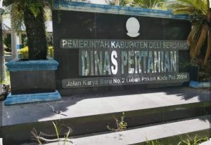 Plt Kabid Sarana Dan Prasarana Pemkab Deli Serdang, Diduga Langgar Aturan, Tunjuk Koordinator Penyuluhan Tidak Berkompeten.
