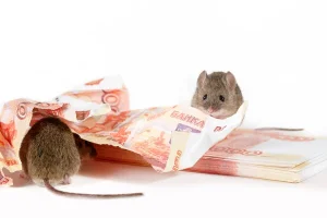 Dugaan Berdalih Bimtek, Dalam Program Pelaksanaan Pelatihan Peningkatan Kapasitas Pemberdayaan Masyarakat Desa Di Medan : Kejati Aceh Didesak Periksa Datok Kecamatan Manyak Payed