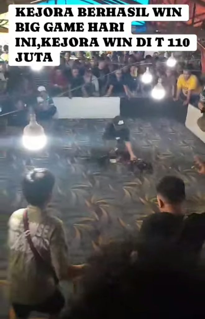 Lapor Pak Kapolda…!!!….Ada Lapak Judi Dadu Dan Sabung Ayam Di Jalan Indra Bajenis Kota Tebing Tinggi.