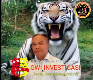 Pernyataan Mahfud MD Menggugah, LSM MAUNG NTB: Saatnya Presiden Bersih-Bersih, Mulai dari Oknum Dewan dan Aparat