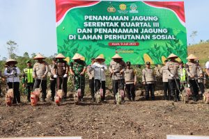 Polda Aceh, Kerahkan Ratusan Alsintan untuk Dukung Penanaman Jagung Serentak Kuartal III.