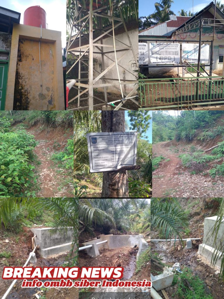 Realisasi Dan Penggunaan (DD) Desa Sengkuang Kecamatan Tanjung Agung Palik Kabupaten Bengkulu Utara, Di Tahun 2023-2025, Diduga Mark up Ajang Korupsi.