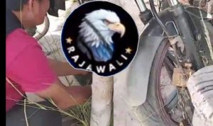 Ketua DPW Rajawali Geram, Kecam Intimidasi Wartawan, Di Ketapang, Desak APH Bertindak Tegas.