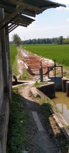 Cukup Sangat Gawat, Adanya Pelaksanaan Proyek Pembuatan Saluran Irigasi, Persawahan Desa Seunebok Punti.
