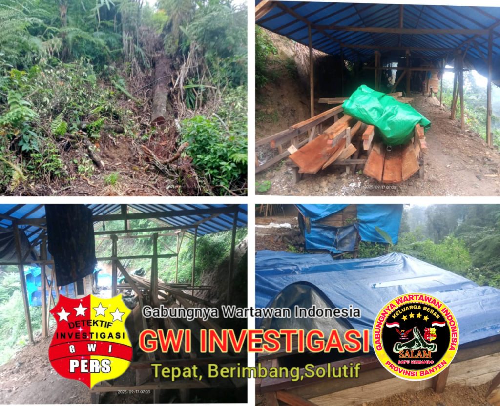 Hutan Gundul, Tambang Menganga: TNGHS Jadi Ajang Jarahan Oknum!