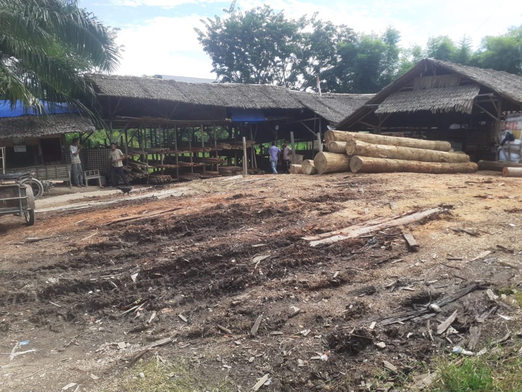 Diduga Menjamurnya, Kayu Gelondongan “Ilegal Logging” Yang Turunnya Di Kilang Seputaran Desa Birem Gampong Kecamatan Birem Bayeun.