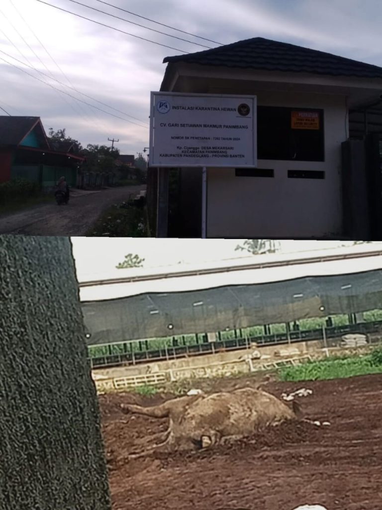 “GWI” Perwakilan Gabungnya Wartawan Indonesia, Soroti CV SGM, M Sutisna Dan Toni YS, Angkat Bicara.