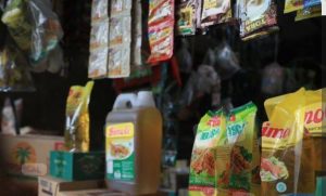 Prof Dr Sutan Nasomal Minta Presiden RI Perintahkan Menterinya Babat Mafia Di Sembako “Harus Dimusnahkan!!”