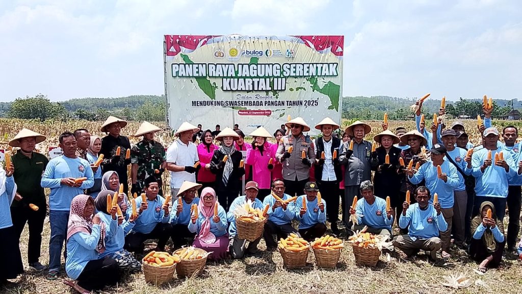Forkopimda Boyolali, Gelar Panen Raya Jagung Serentak, Dorong Ketahanan Pangan Daerah.