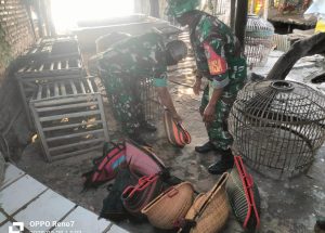 Danramil 0602-10/Pontang Bersama Anggota Gerebeg Sabung Ayam Di Pegandikan Lebak Wangi, Puluhan Orang Lari Kocar Kacir