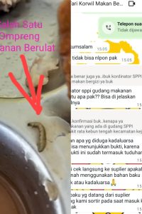 Diduga Bantuan Makanan Bergizi, Program Presiden Prabowo Subianto, Asta Cita Untuk Anak Murid SD Di Kecamatan Kejuruan Muda, Disinyalir Terkesan Berulat Alias Telah Kadaluarsa, Yang Masih Saja, Tetap Disuguhkan Oleh Para Murid SD