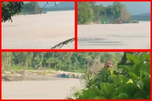 Tambang Emas Ilegal di Sanggau Diduga “Dipelihara” Oknum, Warga Minta Kapolda Kalbar Turun Tangan