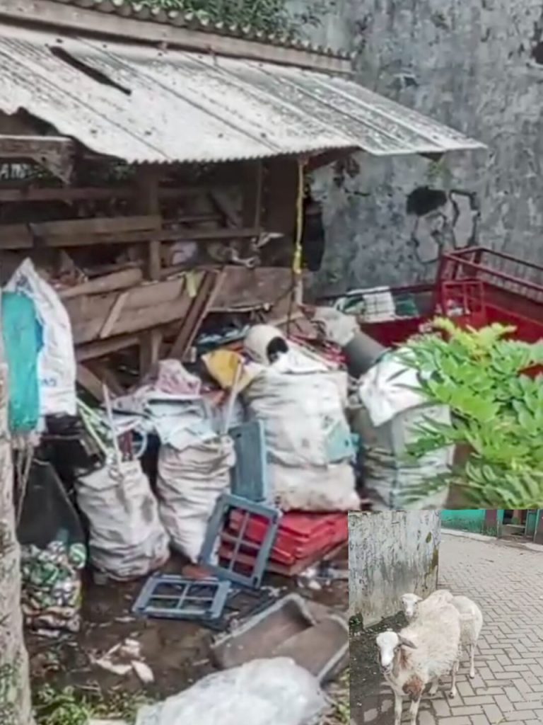 Kandang Katapang Berubah Menjadi Tempat Rongsokan di Desa Sidamukti Kecamatan Sukaresmi Pandeglang, Jadi Sorotan Publik