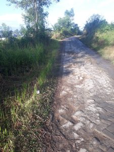 Jalan Rusak Di Kp. Salimah Tak Kunjung Di Perbaiki, Warga Geram Terhadap Kades Sukamanah