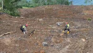Tim SAR Dan Unit K.9, Kembali Temukan 5 Jenazah Di Lokasi Longsor Banjar Negara, 3 Di Antaranya Telah Di Identifikasi Tim DVI.