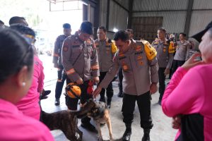 Polda Sumut, Kerahkan Unit K9, Untuk Percepat Pencarian Korban Banjir Bandang Dan Longsor Di Tap-Teng–Sibolga.