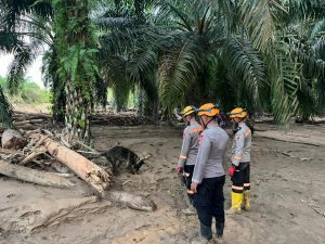 Tim K.9, Ditpolsatwa Baharkam Polri, Bantu Pencarian Korban Bencana, Di Bantaran Sungai Huta Raja.