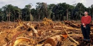 Deforestasi Turun? Aktivis TRAMP : ‘Jangan Tertipu, Hutan Primer Kita Masih Hancur !!.