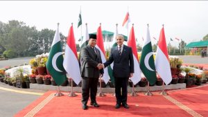 Prabowo Tegaskan Indonesia-Pakistan Dukung Kemerdekaan Palestina, Serukan Two-State Solution.