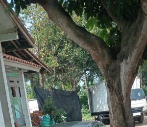 Terkesan Kebal Hukum, Penimbunan BBM Jenis Solar Subsidi, Di Serang Tetap Beroperasi.