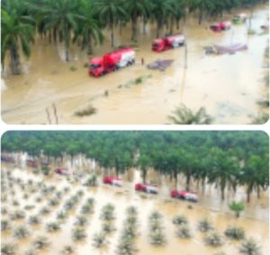 Pemerintah Kerahkan Truk BBM dan Alat Berat ke Aceh Tamiang, Akses Darat Mulai Terbuka.