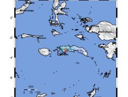 Gempa Bumi, Tektonik M5,5 Di Maluku Tengah, Maluku, Tidak Berpotensi TSunami.