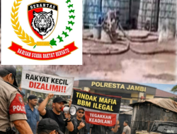 LSM BERANTAS JAMBI: Pelangsir Ditangkap, Bos Gudang BBM Ilegal Bagaimana? Penegakan Hukum Dipertanyakan, Publik Soroti Polresta Jambi Dinilai Tajam