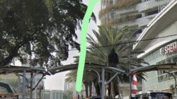 Seorang Pria Diduga Bunuh Diri Lompat dari Area Parkir Mall Tangerang City